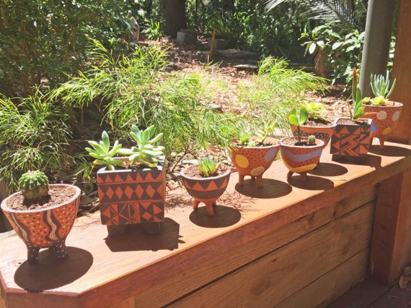 Cactus pots2